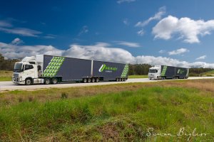 Primary Connect Quads