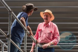 NVLX, Day one of sale