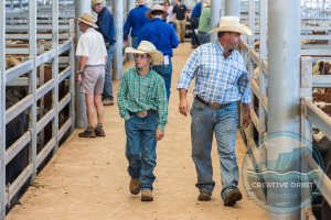 Mixed Weaners Annual Sales at NVLX