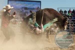 Deni Ute Muster. Bull Ride